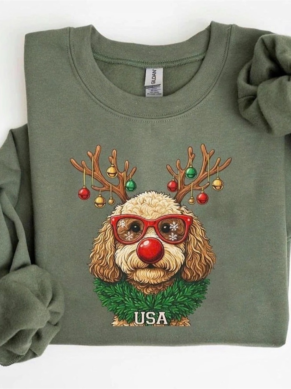 Christmas Dog Graphic Sweatshirt in Green